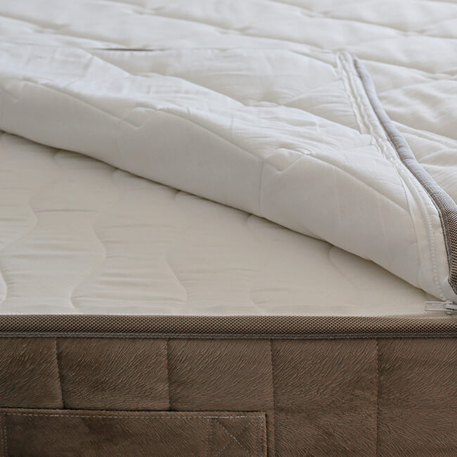 Mattress Protector