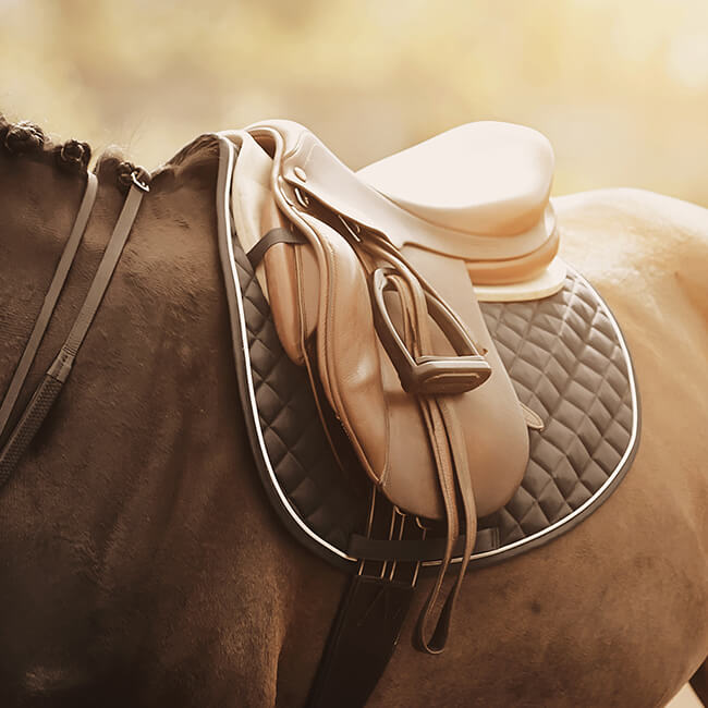 Saddle Pad