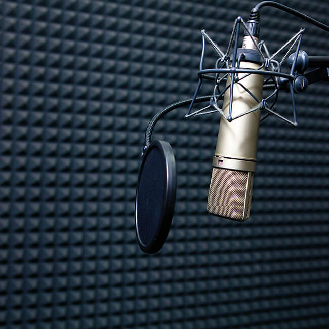 Sound Insulation Wall Pad